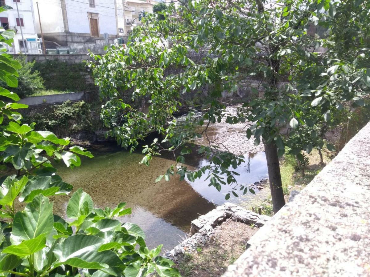 فيلا Casa D.Dinis Vide المظهر الخارجي الصورة