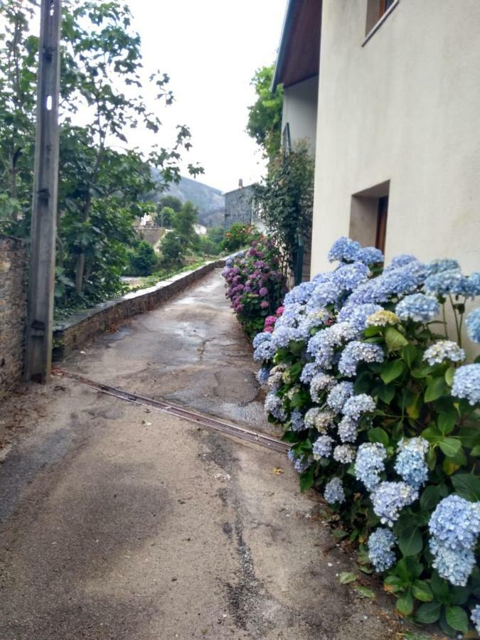 فيلا Casa D.Dinis Vide المظهر الخارجي الصورة